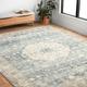 Alexander Home Juliet Ultra-soft Distressed Medallion Rug