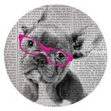 FRENCH BULLDOG with PINK GLASSES Area Rug by Kavka Designs