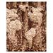 ECARPETGALLERY Hand-knotted Legacy Brown Silk, Wool Rug - 8'2 x 10'1