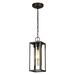 Eglo Walker Hill 1-Light Oil Rubbed Bronze Outdoor Pendant with Clear Glass