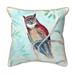 Owl in Teal Large Indoor/Outdoor Pillow 18x18