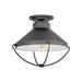 Crew 1-Light Medium Black Outdoor Flush Mount