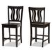 Fenton Modern and Contemporary Transitional 2-Piece Counter Stool Set