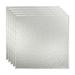 Fasade Border Fill Decorative Vinyl 2ft x 2ft Lay In Ceiling Tile in Brushed Aluminum (5 Pack)