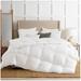 KASENTEX Contemporary Brushed Cotton and Microfiber Comforter - White Goose Down and Feather Fill, 700 Fill Power, Duvet Insert