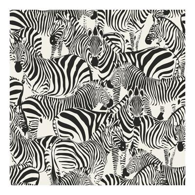 Jemima Black Zebra Wallpaper - 20.5 x 396 x 0.025