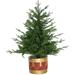 Fraser Hill Farm 3.0-Ft Adirondack Pre Lit Potted Christmas Tree Décor with Warm White LED Lights - N/A