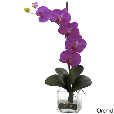 Giant Phal Orchid with Vase Arrangement