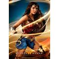 RUIYANMQ Wooden Puzzle 1000 Pieces Wonder Woman Puzzles Educational Toy For Adults Birthday Gift Zy20Tm