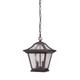 Acclaim Lighting Aiken 12 Inch Tall 2 Light Outdoor Hanging Lantern - 39016ABZ