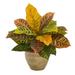 15" Garden Croton Artificial Plant in Ceramic Planter (Real Touch)