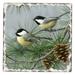 Counterart Absorbent Stone Coasters - Chickadees #2 - Set of 4 - 4x4x5