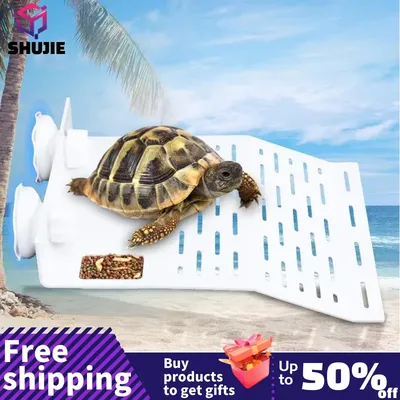 Plate-forme de tortue Aquarium résistance à haute température forte aspiration panneau acrylique