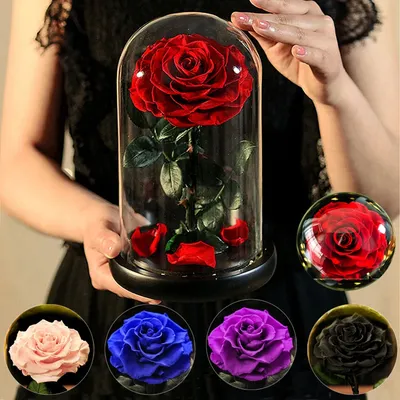 Rose éternelle artificielle la belle et la bête, sous dôme de verre, fausses fleurs, pour un cadeau