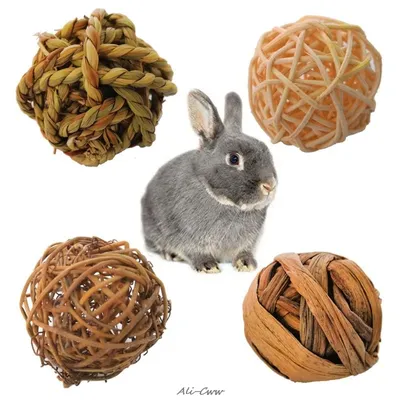 Lot de boules naturelles en rotin jouets pour petits animaux domestiques pour lapin perroquet et