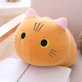 Jouet en peluche chat doux de dessin animé pour enfants oreiller de canapé coussin rembourré