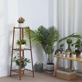 Arlmont & Co. Multi Tier Dark Bamboo Tall Plant Stand Pot Holder Table Ladder Flower Display Rack Wood in Brown | 37.9 H x 12 W x 12 D in | Wayfair