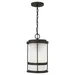 Generation Lighting Wilburn Outdoor Pendant Light - 6290901EN3-71