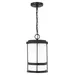 Generation Lighting Wilburn Outdoor Pendant Light - 6290901EN3-12