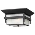 Hinkley Harbor Outdoor Flushmount Light - 2573SK