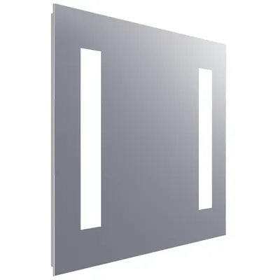 Electric Mirror Acclaim Lighted In-Shower Fog Free Mirror