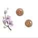 Coach Jewelry | Coach Rosegold Earrings | Color: Gold | Size: Os