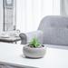 Latitude Run® Gray Indoor Round Ceramic Pot Planter Ceramic | 3.34 H x 7.67 W x 7.67 D in | Wayfair 51A7E10974DD4C7E854D599851C2E28C