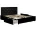 Avenue Greene Darci Faux Leather Upholstered Bed