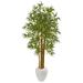 65" Multi Bambusa Bamboo Artificial Tree in White Planter