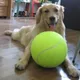 Balle de Tennis géante de 9.5 pouces pour chien jouet à mâcher Signature Mega Jumbo pour enfants