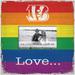 Cincinnati Bengals 10'' x Love Pride Frame