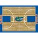 Imperial Florida Gators 7'8" x 10'9" Courtside Rug