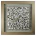 HUJI Oyster Cluster Shadow Box Wall Decor