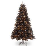 6.5 ft. North Valley® Black Spruce Tree with Clear Lights by National Tree Company