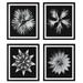 Uttermost Uttermost Contemporary Floret Framed Prints, S/4 Print - 41427