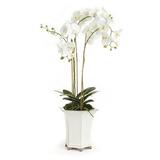 Primrue Phalaenopsis Floral Arrangement in Ceramic Pot Plastic | 36 H x 12 W x 12 D in | Wayfair CC252