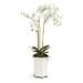 Primrue Phalaenopsis Floral Arrangement in Ceramic Pot Plastic | 36 H x 12 W x 12 D in | Wayfair CC252