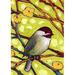 Toland Home Garden Chickadee Blossoms Polyester 40 x 28 inch House Flag in Yellow | 40 H x 28 W in | Wayfair 1012297