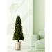 Primrue Preserved Box Cone Topiary In A Pot, Box In Planters, Preserved Plant For Box Table Decor, Box Centerpiece | 31.5 H x 9 W x 9 D in | Wayfair