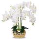 Artificial Orchid in Gold Vase White Orchid Silk Orchids Faux Orchid Plant in Gold Pot Fake Flower Arrangement White Flowers Artificial for Decoration Home Decor Kitchen Decoration Table Centerpieces