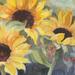 Three Posts™ 'Sunflowers in Watercolor II' by Sandra Iafrate - Painting on Canvas in Brown/Gray/Green | 37.75 H x 37.75 W x 0.75 D in | Wayfair
