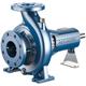 Pedrollo - Pompe centrifuge normalisée de soutien pour irrigation fg 65/200A Fonte