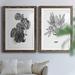 Bay Isle Home™ B & W Indoor Plant III - 2 Piece Painting Print Set Paper, Solid Wood in Black/Blue/Green | 37.5 H x 55 W x 1.5 D in | Wayfair