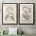 Three Posts™ Antique Sepia Botanicals III - 2 Piece Picture Frame Painting Print Set on Paper in Gray/Green/Indigo | 1.5 D in | Wayfair