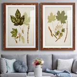 August Grove® Antique Leaves V - 2 Piece Picture Frame Painting Print Set on Paper in Black/Blue/Green | 31.5 H x 43.5 W in | Wayfair