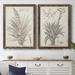 August Grove® Sepia Exotic Plants III - 2 Piece Picture Frame Drawing Print Set Canvas in Black/Blue/Gray | 43.5 H x 63 W in | Wayfair