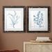 Gracie Oaks Antique Botanical in Blue VII - 2 Piece Picture Frame Painting Print Set on Paper in White | 24 H x 36 W x 1.5 D in | Wayfair