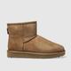 UGG classic mini ii boots in chestnut