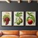 August Grove® Antique Fruit III - 3 Piece Picture Frame Painting Set on Canvas in Black/Blue/Green | 43.5 H x 94.5 W in | Wayfair