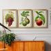 Rosalind Wheeler Antique Fruit III - 3 Piece Picture Frame Graphic Art Set on Canvas Canvas, in Black/Blue/Green | Wayfair